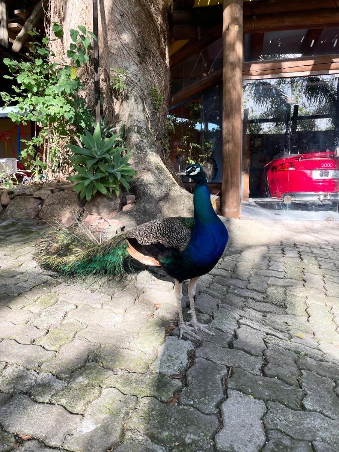Pousada Familiar Casa Amarela Sao Gabriel  Bagian luar foto